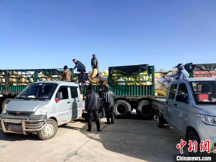 圖為合作社正在拉運化肥。(資料圖) 張海蓮 攝