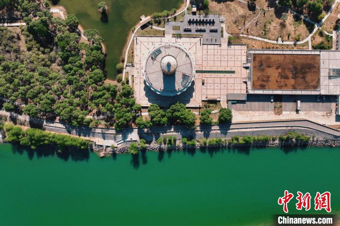 航拍青海貴德黃河岸畔綠意濃濃?！≮w凜松 攝