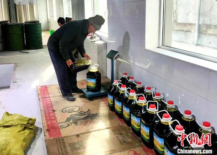 圖為高原油菜籽榨出的菜籽油?！埖么?攝