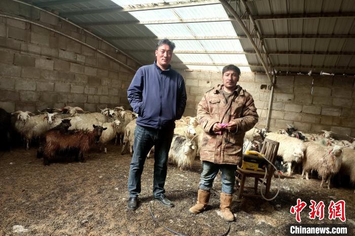 圖為華公太(左)走訪牧民生產(chǎn)生活情況?！〔彭検步?攝