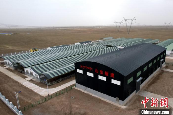 圖為航拍生態(tài)畜牧業(yè)集中規(guī)模化養(yǎng)殖基地?！〔讨绢?攝