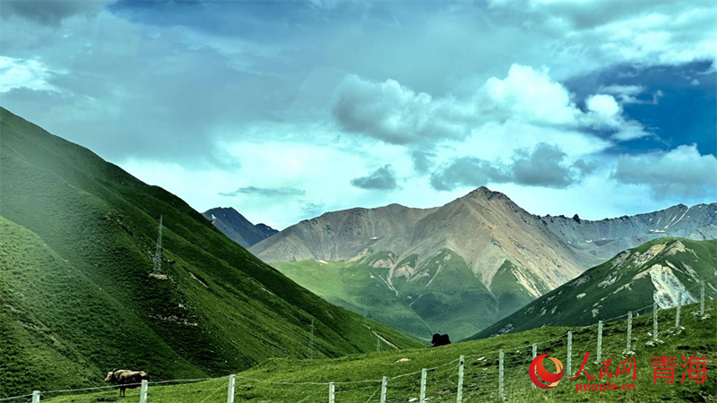 果洛風(fēng)光。人民網(wǎng) 劉沛然攝