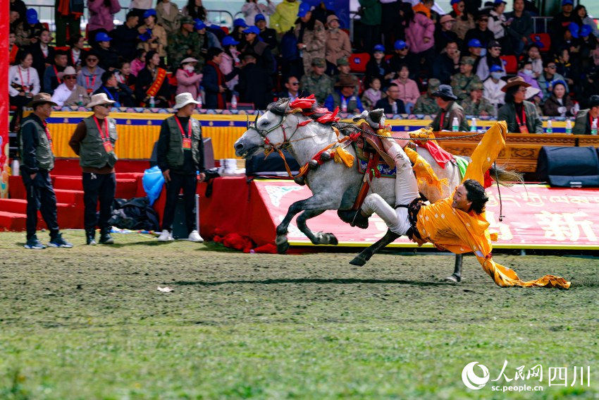 馬術(shù)表演現(xiàn)場(chǎng)。洛絨尼瑪攝