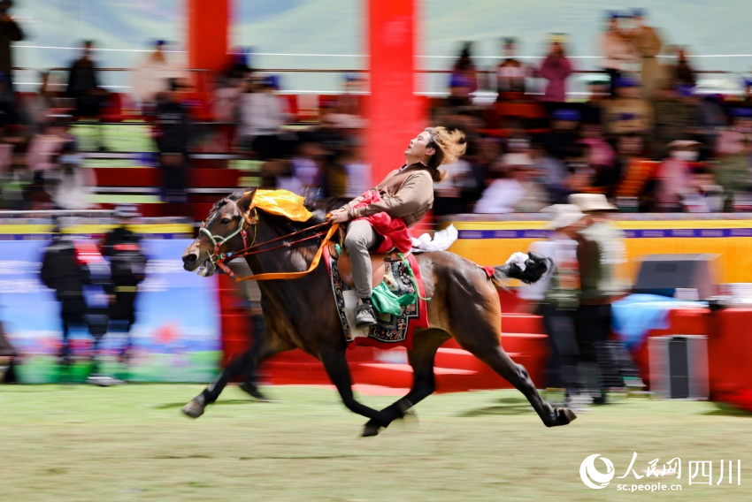 馬術(shù)表演現(xiàn)場(chǎng)。洛絨尼瑪攝