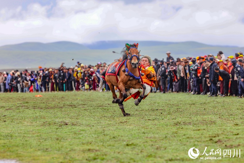 馬術(shù)表演現(xiàn)場(chǎng)。洛絨尼瑪攝