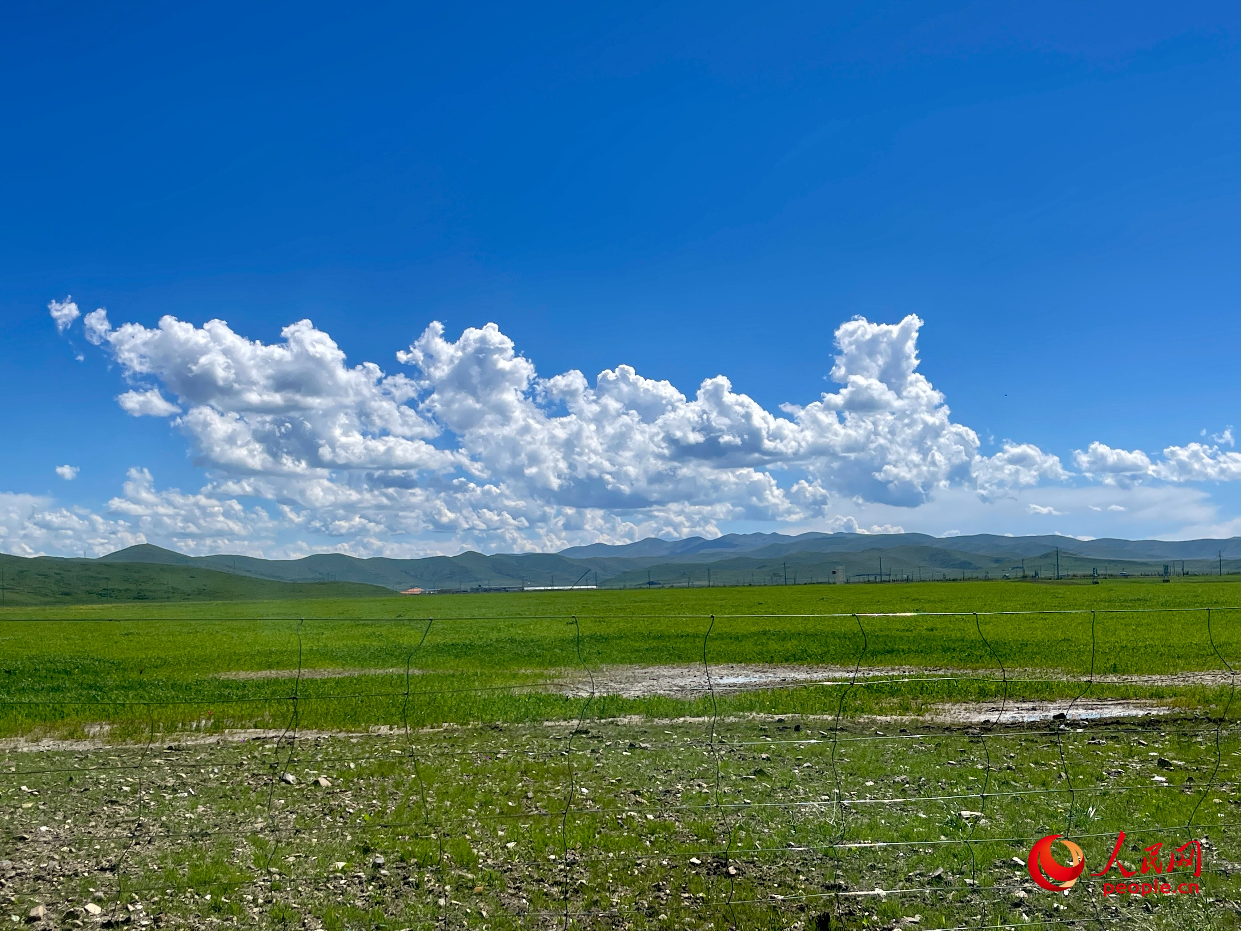 唐日合作社附近，藍天白天、綠草如茵。人民網(wǎng) 周靜圓攝