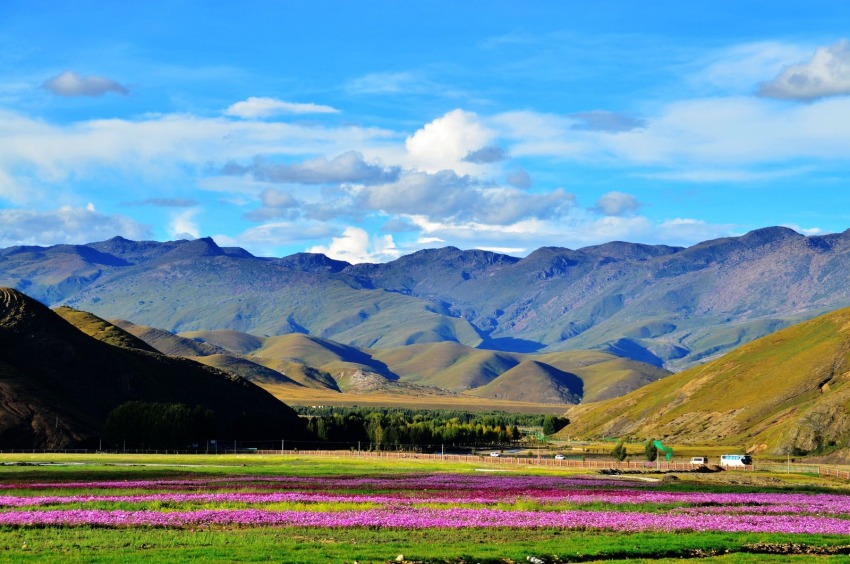 稻城風(fēng)光。稻城縣委宣傳部供圖