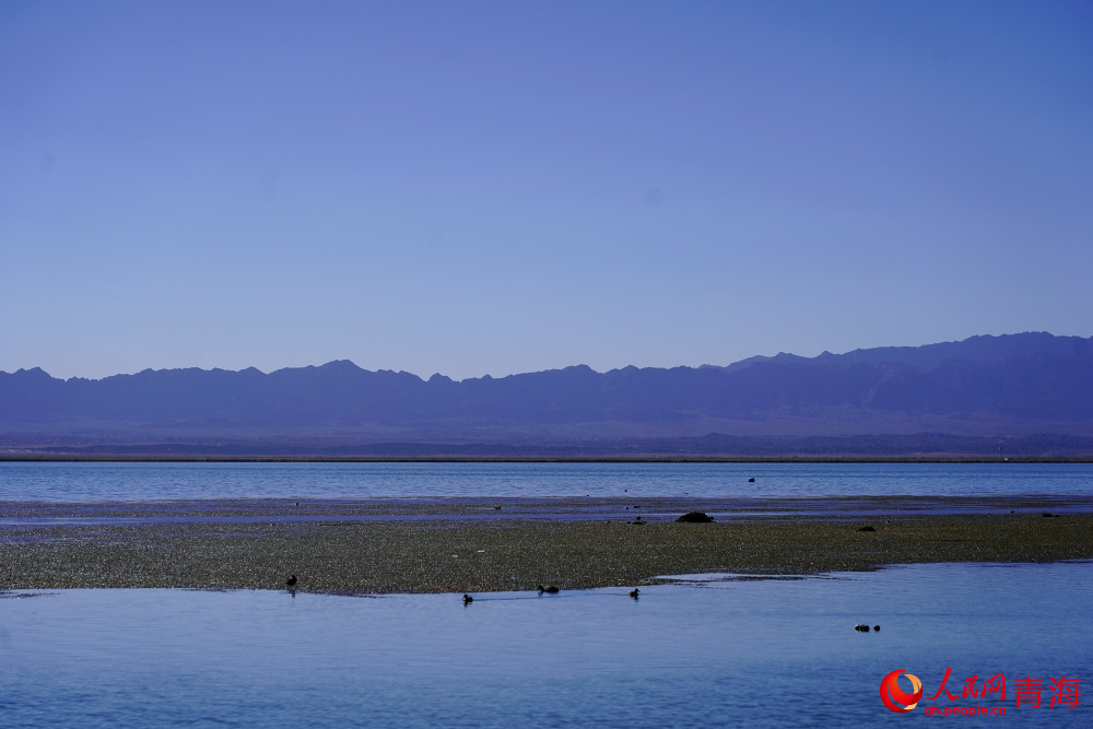 安靜的可魯克湖。人民網(wǎng) 陳明菊攝