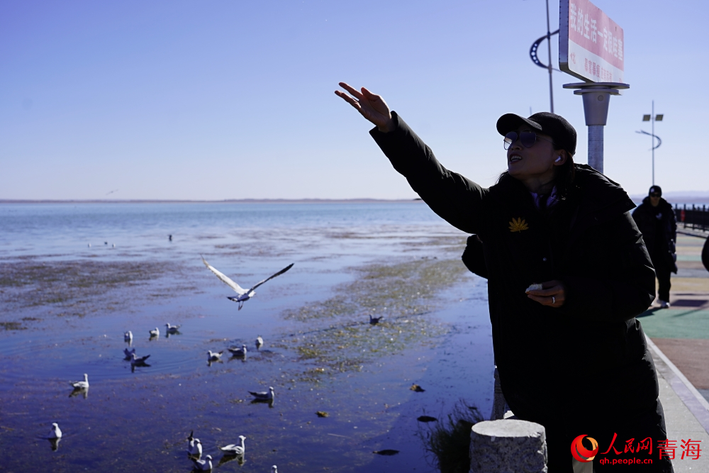游客投喂水鳥。人民網(wǎng) 陳明菊攝