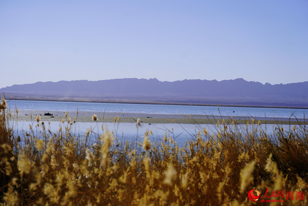 可魯克湖秋色如畫。人民網(wǎng) 陳明菊攝