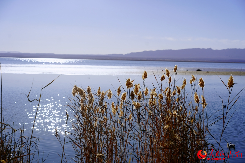可魯克湖秋色如畫。人民網(wǎng) 陳明菊攝
