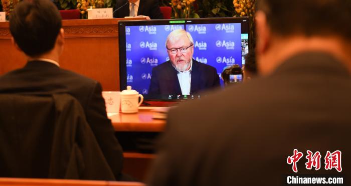 圖為外國專家通過線上進行分享交流?！≮w朗 攝