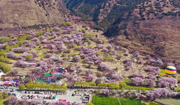 世外桃源！一組圖告訴你，西藏林芝桃花能有多美