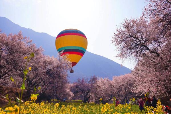 世外桃源！一組圖告訴你，西藏林芝桃花能有多美