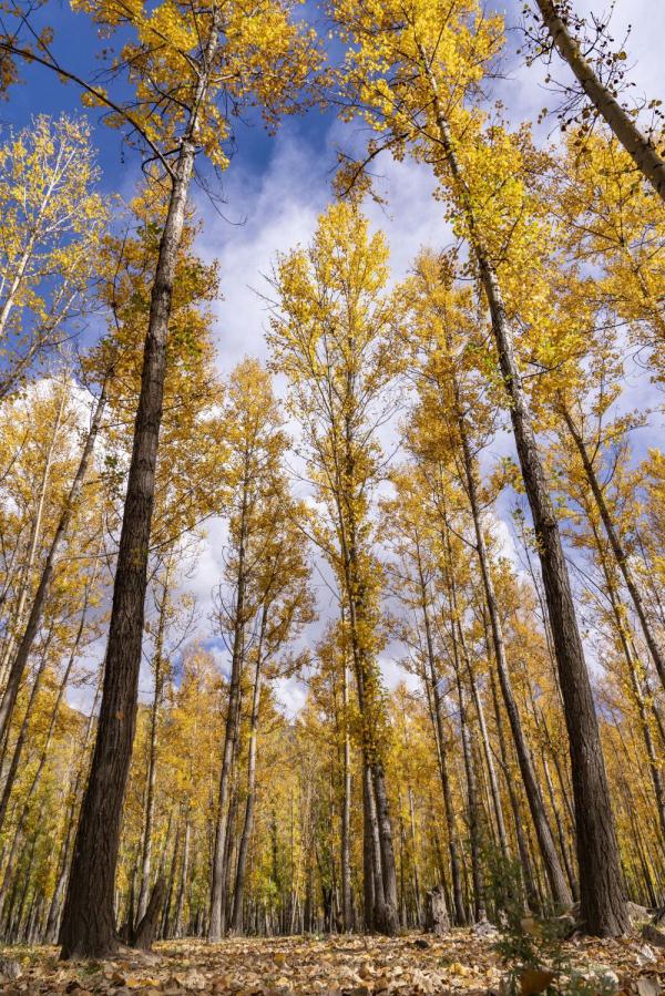 跟我，踏上最美“景觀大道”