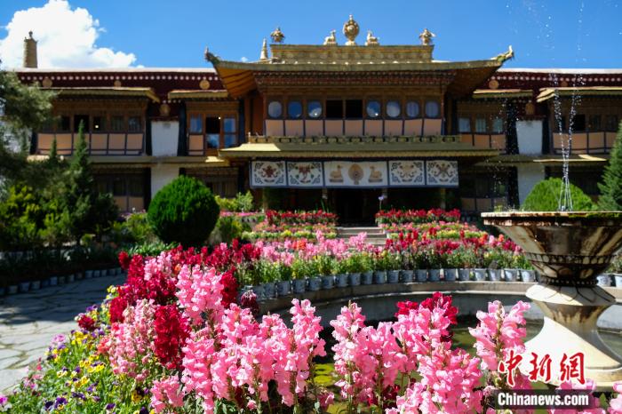 圖為夏日羅布林卡(資料圖)。趙朗攝