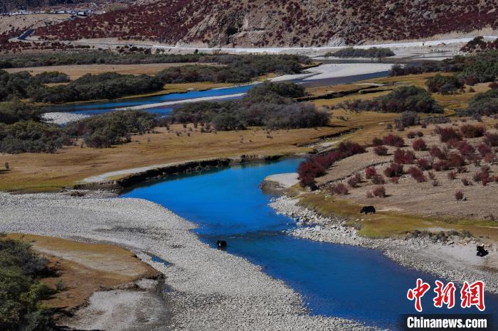 資料圖為拉薩市墨竹工卡縣境內(nèi)的美景。　貢嘎來(lái)松 攝