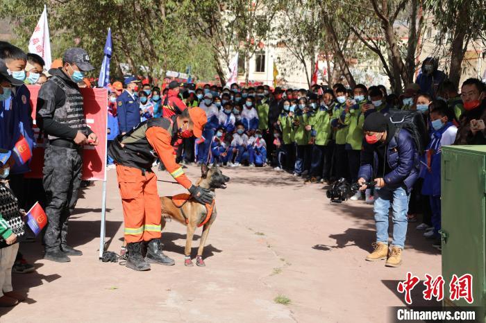 圖為搜救犬服從和箱體搜救演練?！≮w琳 攝