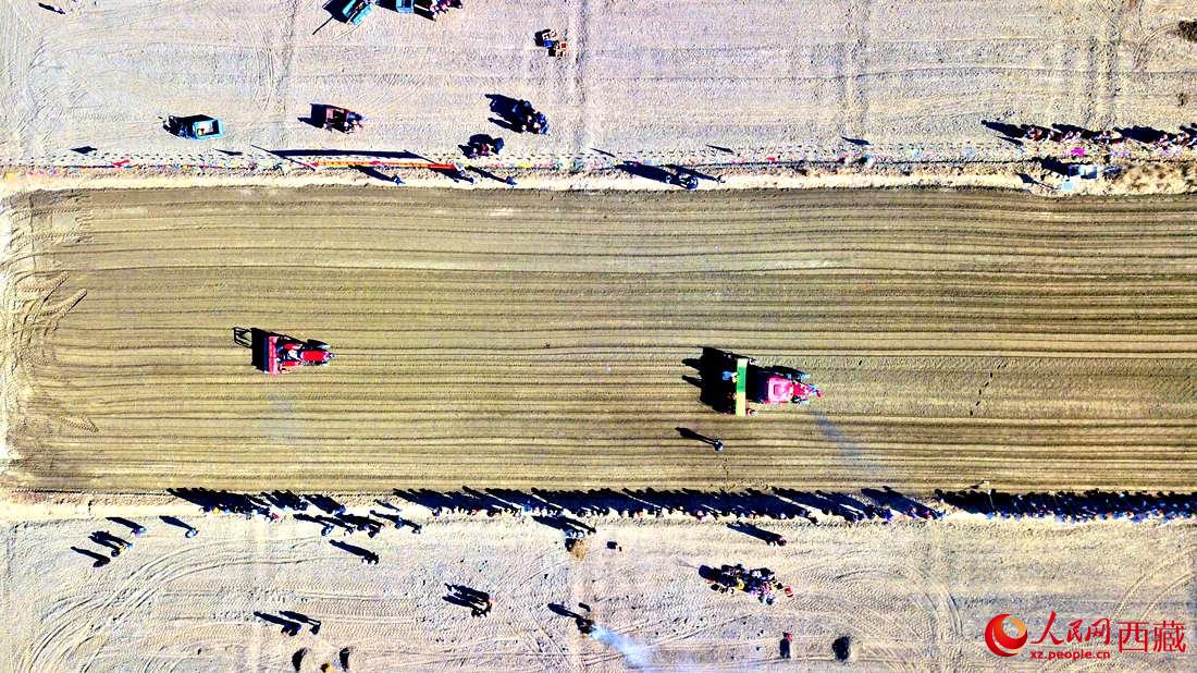 山南市扎囊縣扎其鄉(xiāng)孟卡榮村迎來春耕第一犁。人民網 次仁羅布攝