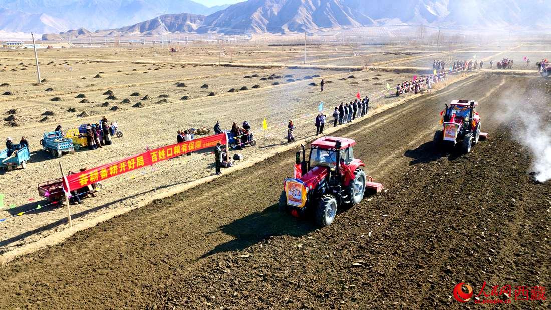 山南市扎囊縣扎其鄉(xiāng)孟卡榮村迎來春耕第一犁。人民網(wǎng) 次仁羅布攝