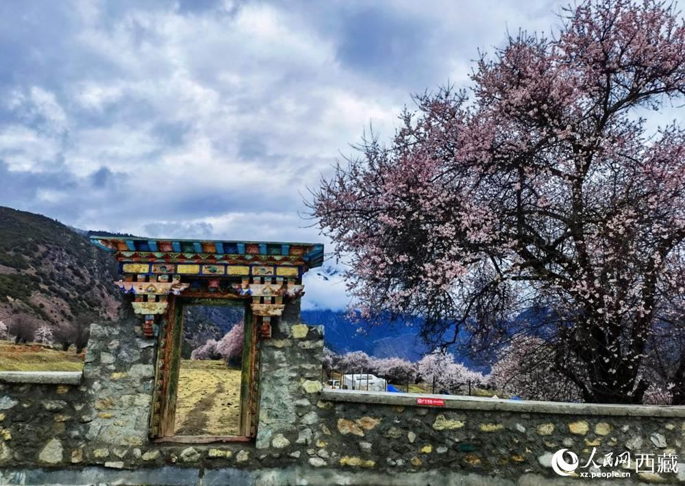桃花下的藏式民居。人民網(wǎng) 李海霞攝
