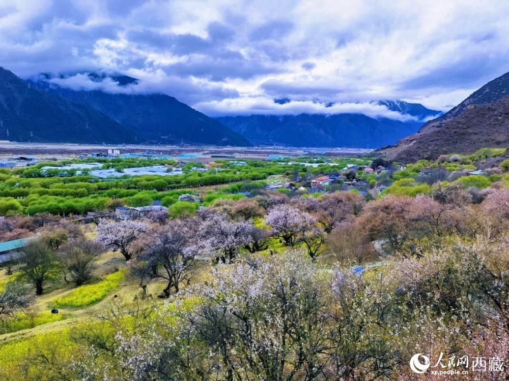 桃花從中的“童話小鎮(zhèn)”。人民網(wǎng) 李海霞攝