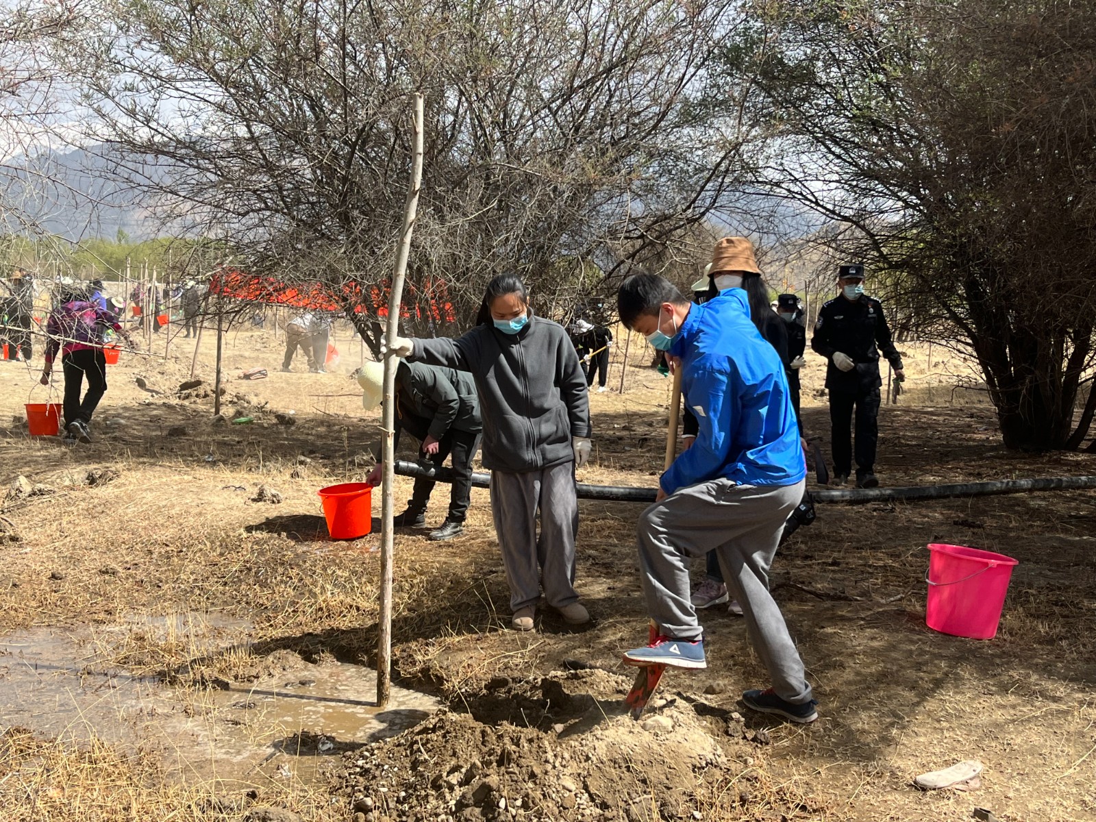 植樹現(xiàn)場，大家分工明確，配合默契(2000565)-20220420090303.jpg
