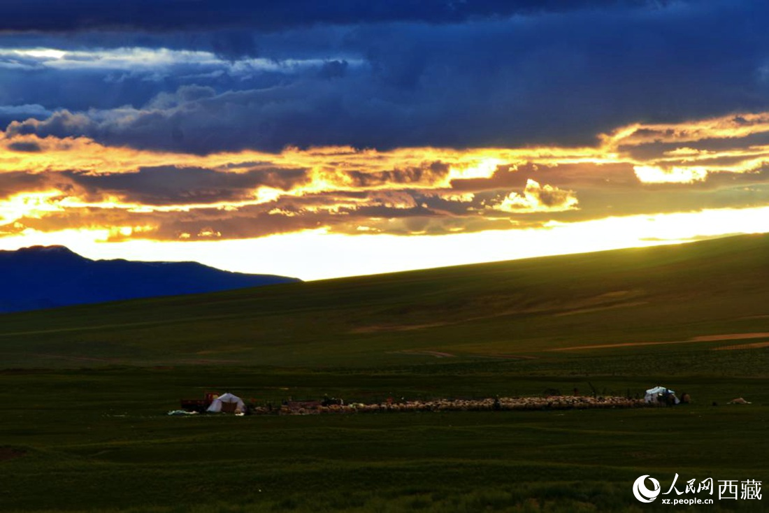 黃昏下的帳篷，牧民過(guò)著幸福生活。 人民網(wǎng) 李海霞攝