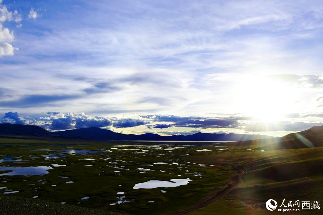 七月的羌塘草原處處是景。人民網(wǎng) 李海霞攝