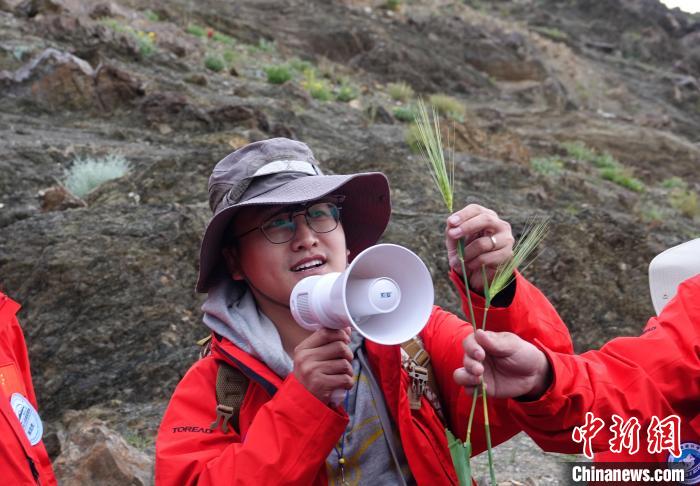 青藏科考:青稞如何走上青藏高原?