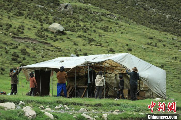 圖為牧民們在秋季牧場搭建帳篷?！÷蹇?攝