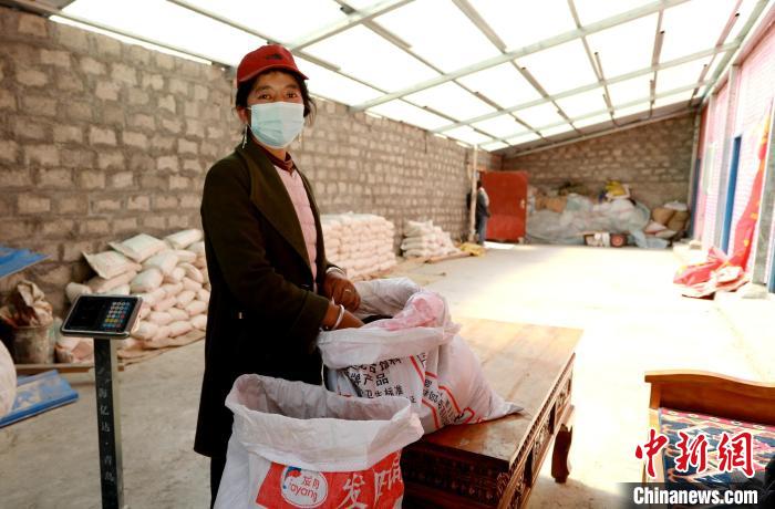 圖為寧重崗村村民扎西才措把自家的油菜籽送到合作社銷售。　嘉黎縣融媒體中心供圖