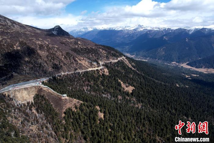 2月17日，西藏林芝魯朗林海。(無人機照片) 李林 攝