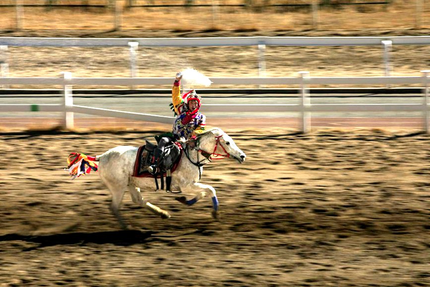 藏歷新年，精彩的馬術(shù)表演。張靜攝