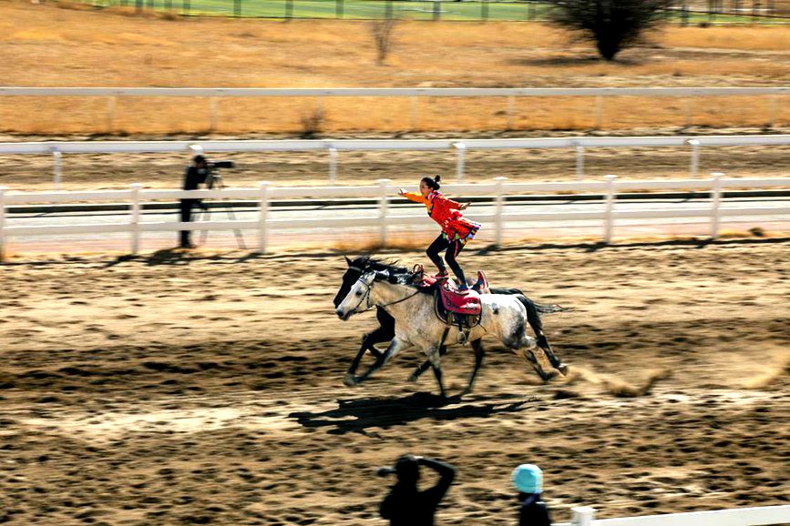 藏歷新年，精彩的馬術(shù)表演。張靜攝