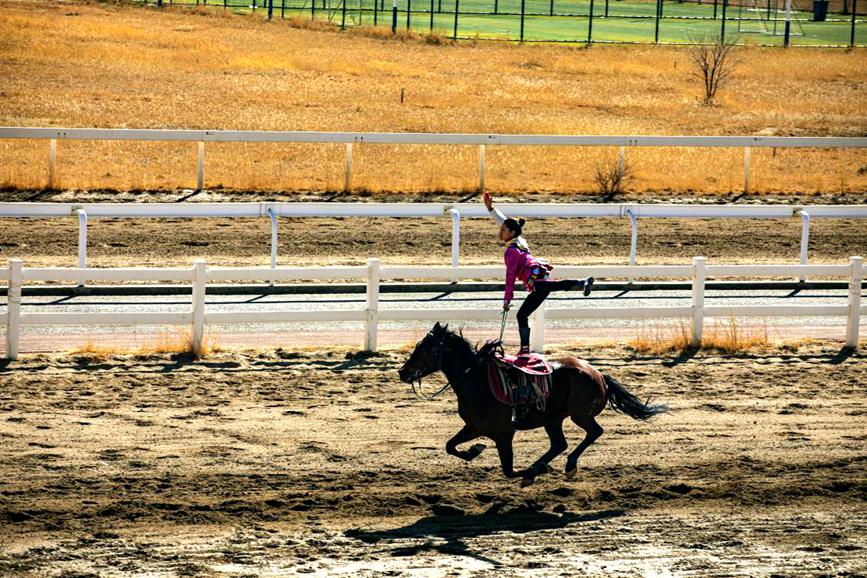藏歷新年，精彩的馬術(shù)表演。張靜攝