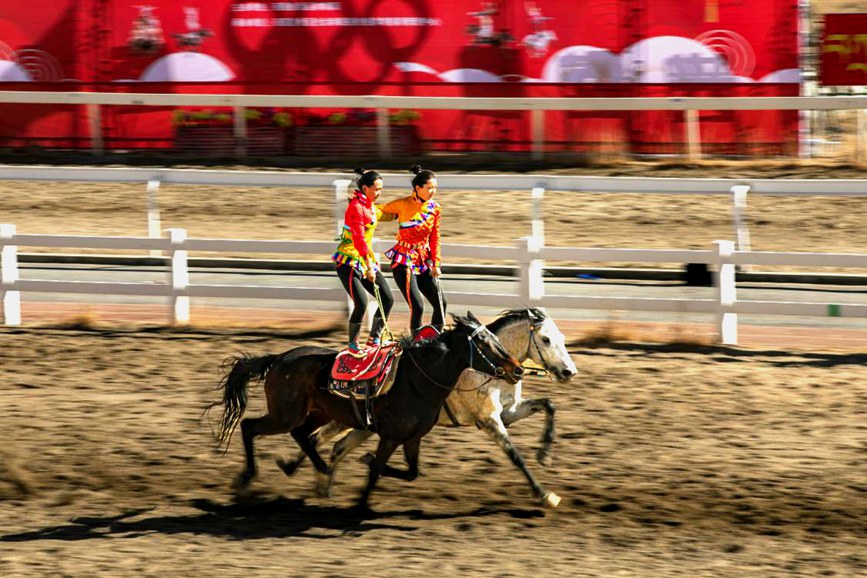 藏歷新年，精彩的馬術(shù)表演。張靜攝