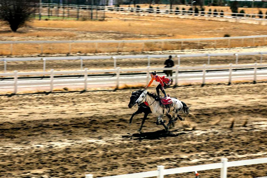 藏歷新年，精彩的馬術(shù)表演。張靜攝