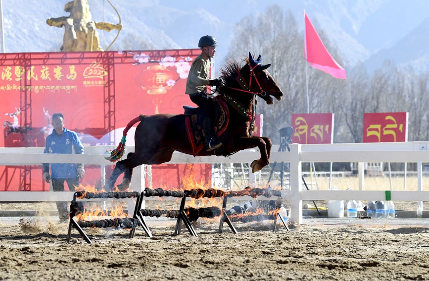 藏歷新年，精彩的馬術(shù)表演。潘多攝