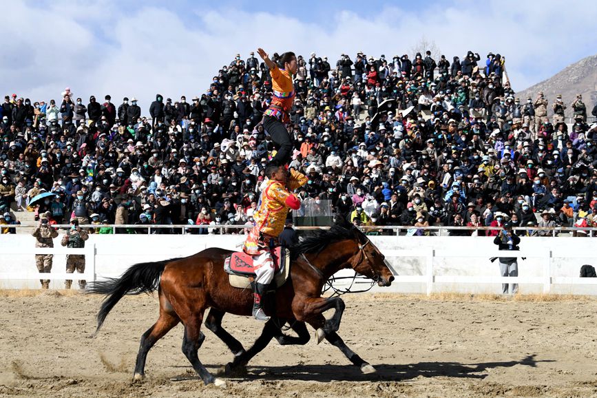 藏歷新年，精彩的馬術(shù)表演。潘多攝