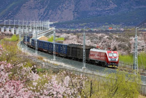 人間桃花源！林芝桃花有多絕？