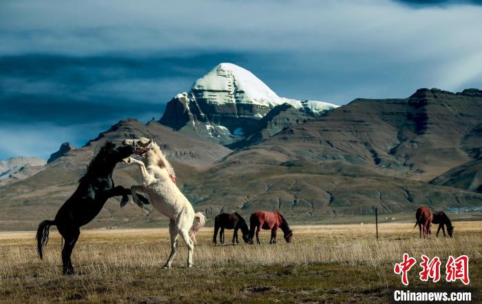 圖為參展攝影師拍攝的西藏阿里岡仁波齊?！≈鬓k方 供圖