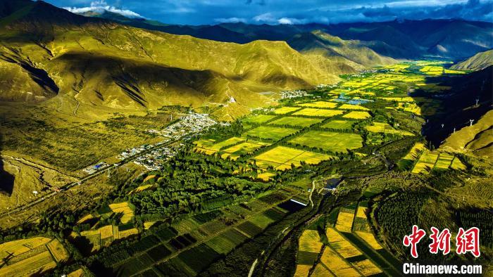 圖為山南雍布拉康附近農(nóng)田?！埼?攝