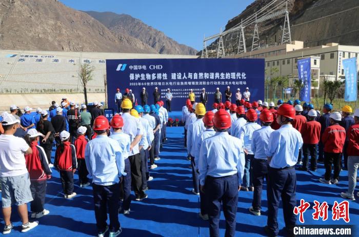 圖為蘇洼龍水電站魚類放流現(xiàn)場。　蘇洼龍水電站供圖