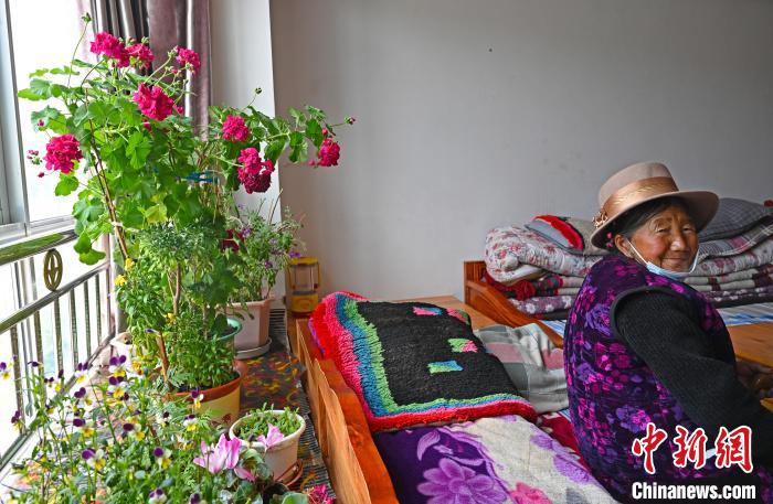 圖為曲松縣特困人員集中供養(yǎng)中心老人德吉卓嘎與她的花。　趙朗 攝