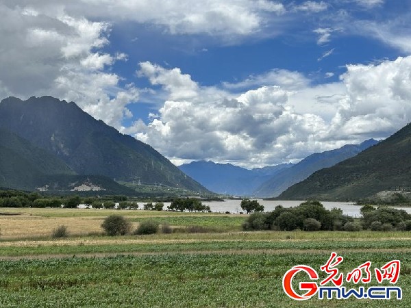 我們的家園｜林芝米林縣：河長(zhǎng)護(hù)藥洲，碧水映花谷