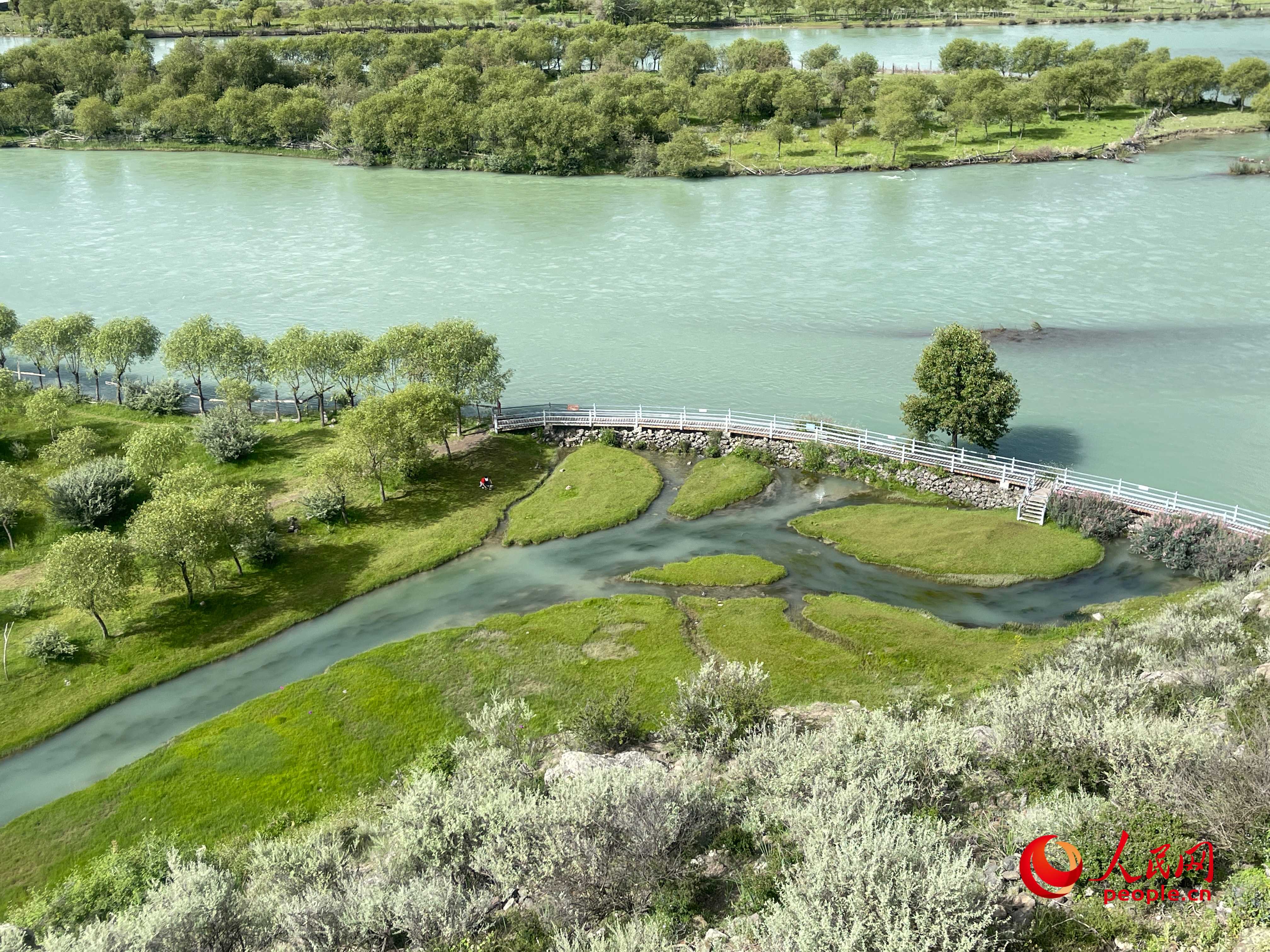 夏日的雅尼國家濕地公園生機(jī)盎然，如詩如畫。人民網(wǎng) 周靜圓攝