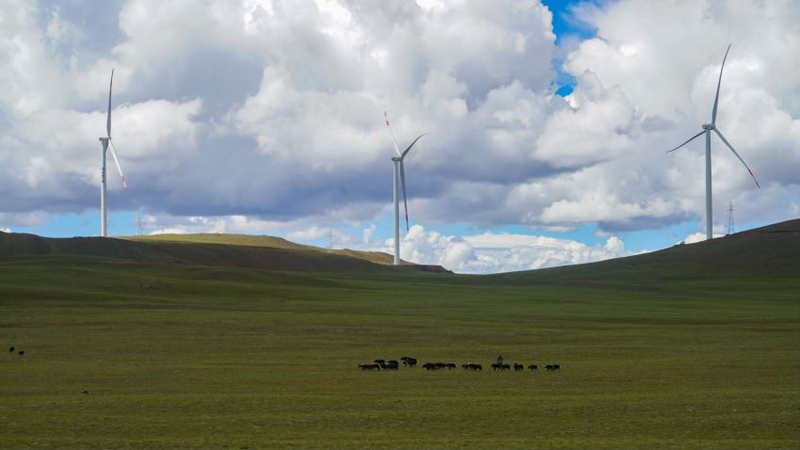 西藏措美哲古風(fēng)電場首批3.6兆瓦風(fēng)電機組并網(wǎng)發(fā)電。受訪者供圖