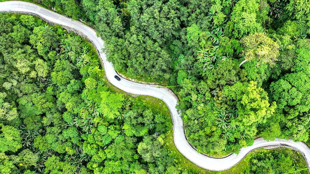 穿行于綠色間，生態(tài)優(yōu)良。張澤坤攝