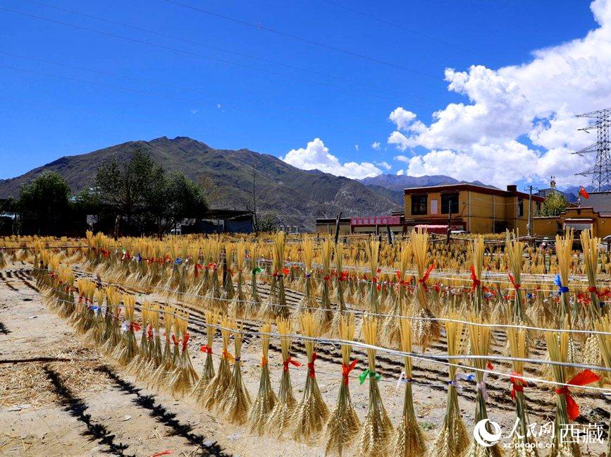 幸福生活曬出來。人民網(wǎng) 李海霞攝